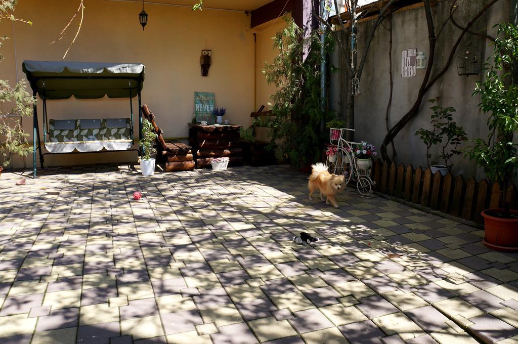 Collosal Apartment With Garden Bucarest Esterno foto